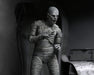 EAN 0634482048122 - NECA Ultimate Mummy (Black & White) imagen 13