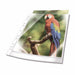 EAN 4005546735238 - Durable 265502 protector de hojas A4 Polipropileno (PP) 25 pieza(s) imagen 1