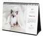 EAN 8422952402268 - Finocam 780323826 calendario Mesa imagen 5