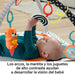 EAN 0194735000319 - Fisher-Price HBP41 gimnasio para bebé y tapete de juego Tela, Plástico Multicolor Gimnasio para bebés imagen 12