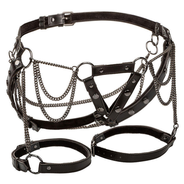 Calexotics - Euphoria Arnés De Muslo Con Cadenas Premium