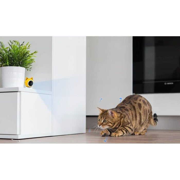 Cámara De Vigilancia Para Mascotas  Plus Care One Phase Upto 6kva