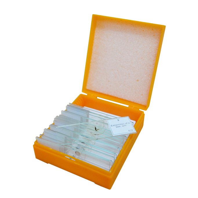 EAN 0611901511054 - Levenhuk N10 NG Vidrio Portaobjetos de microscopio imagen 10