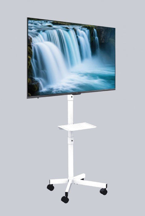 Gembird Tvs-55t-03-W Soporte Para Tv 139,7 Cm (55") Blanco