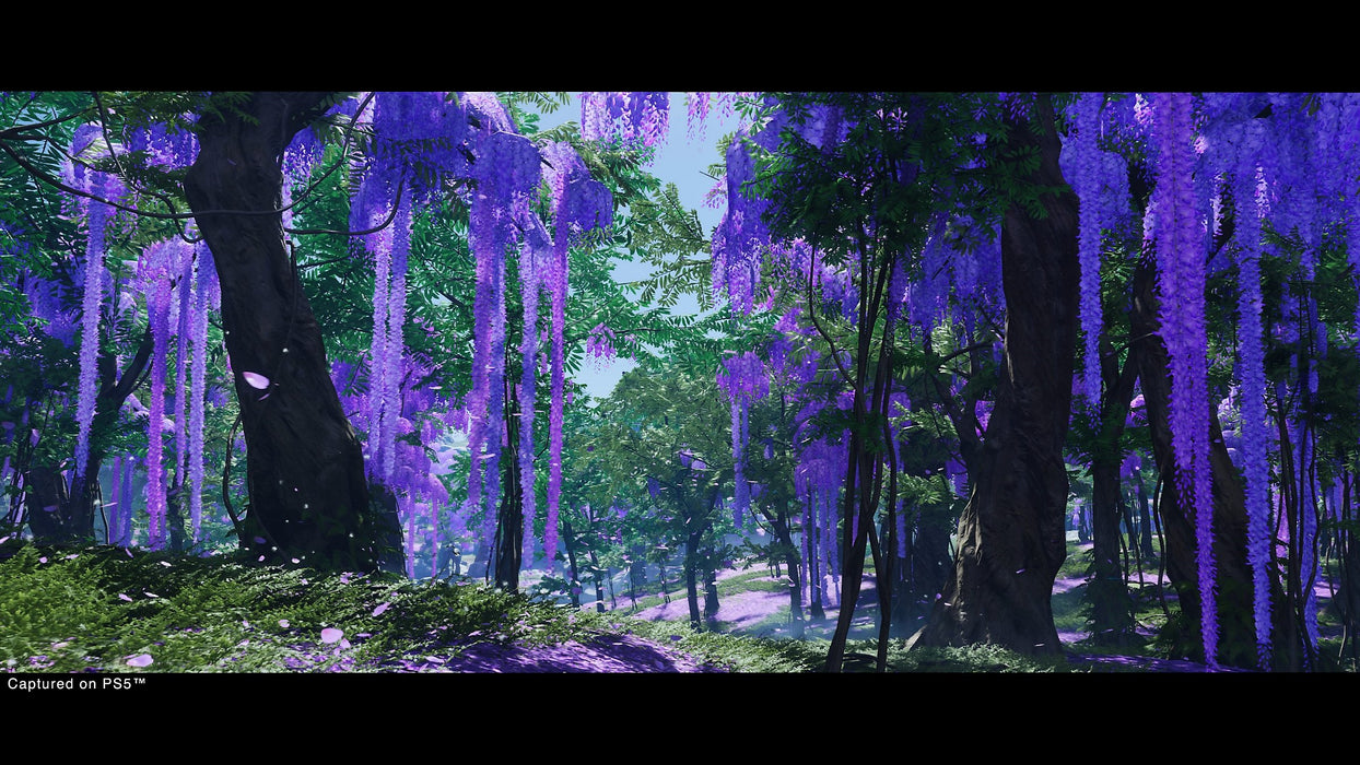 EAN 0711719713890 - Sony Ghost of Tsushima Director's Cut Montaje del director Plurilingüe PlayStation 5 imagen 10