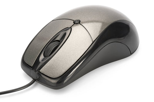 EAN 4054007810465 - Ednet 81046 ratón Oficina Ambidextro USB tipo A Óptico 800 DPI imagen 1