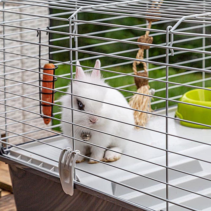 EAN 8010690101590 - Ferplast Rabbit 100 Cobaya, Rabit Gris, Blanco imagen 6