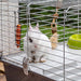 EAN 8010690101590 - Ferplast Rabbit 100 Cobaya, Rabit Gris, Blanco imagen 6
