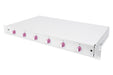 EAN 4016032325703 - Digitus DN-96330-4 accesorio de bastidor Panel de gestión de cables imagen 2