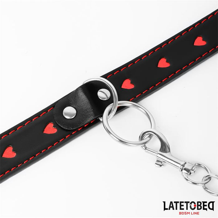 Collar Con Correa 52 Cm
