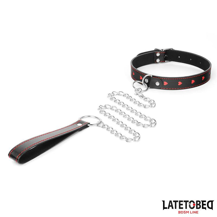 Collar Con Correa 52 Cm