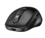 EAN 0198122955336 - HP 725 Multi-Device Rechargeable Wireless Keyboard and Mouse Combo teclado Ratón incluido Oficina RF Wire imagen 7