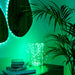 EAN 8056326677862 - Twinkly Dots imagen 4