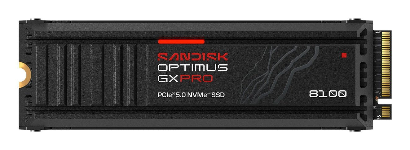 1 Tb Ssd Sandisk Optimus Gx Pro 8100 Nvme Heatsink