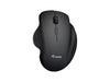 EAN 4015867242889 - Equip 245121 ratón Universal mano derecha RF Wireless + Bluetooth Óptico 1600 DPI imagen 1