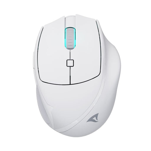 EAN 4044951039654 - Sharkoon OfficePal M25W ratón Juego mano derecha RF Wireless + USB Type-C Óptico 4000 DPI imagen 1