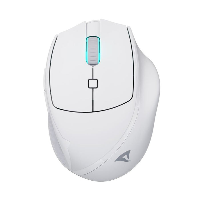 EAN 4044951039654 - Sharkoon OfficePal M25W ratón Juego mano derecha RF Wireless + USB Type-C Óptico 4000 DPI imagen 1