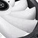 EAN 4710679814650 - Silverstone Shark Force 160 ARGB Carcasa del ordenador Ventilador Negro, Blanco 1 pieza(s) imagen 7