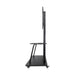 EAN 8433281013780 - TooQ Coloso 2,54 m (100") Negro imagen 4