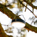 EAN 8716778931980 - Aqiila Powerbird BL10 imagen 6