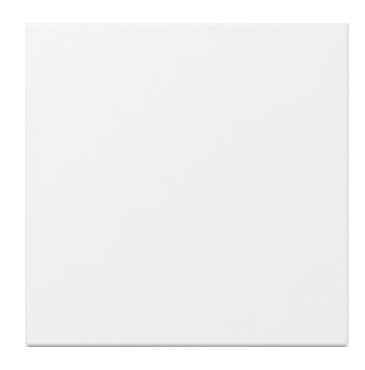 Gira 349603 Tecla Basculante Recto System 55 Blanco Puro