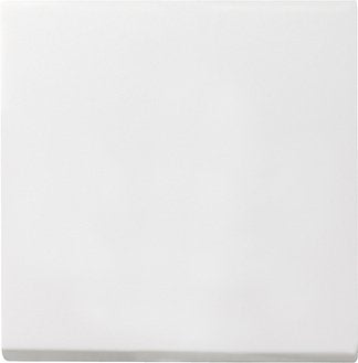 Gira - System 55 - Wippe Für Wippschalter U.Wipptaster *Reinweiss Seidenmatt*