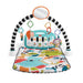 EAN 0194735224067 - Fisher-Price HWY54 gimnasio para bebé y tapete de juego Tela, Plástico Multicolor Gimnasio para bebés imagen 7