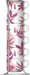 EAN 8006363042840 - Bialetti SS2024001 tazón Rosa, Blanco Café expreso 1 pieza(s) imagen 1