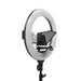EAN 0847983032358 - ikan HomeStream imagen 1
