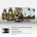 EAN 9120106661545 - Thomson 55UG4S14 Televisor 139,7 cm (55") 4K Ultra HD Smart TV Wifi Negro imagen 8