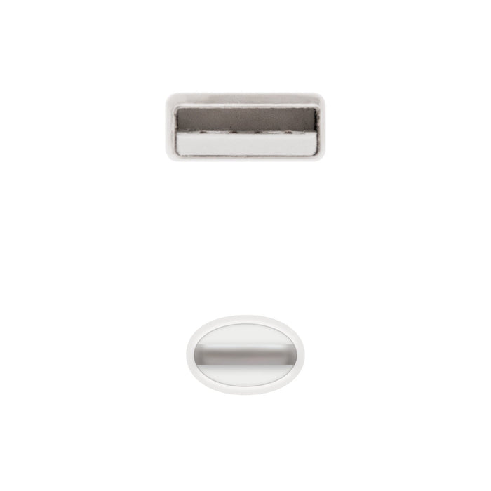 EAN 8433281006652 - Nanocable 10.10.0402 cable de conector Lightning 2 m Blanco imagen 3