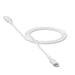 EAN 0840056185746 - mophie essentials Lightning to USB-C | charging cable (1M) Blanco imagen 1