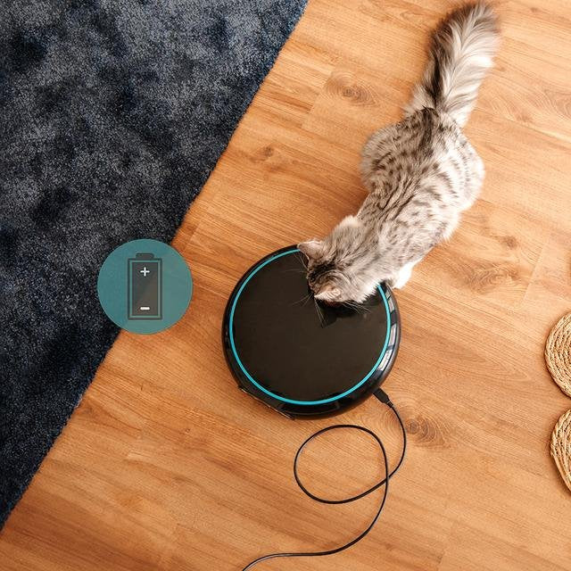 EAN 8435484095624 - Cecotec Pumba 1600 Purrfect Meal comedero y bebedero para perro y gato Negro Comedero automático para mas imagen 11