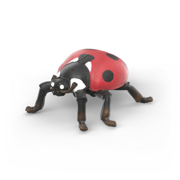 Schleich Insekten Entdecker Set 42741