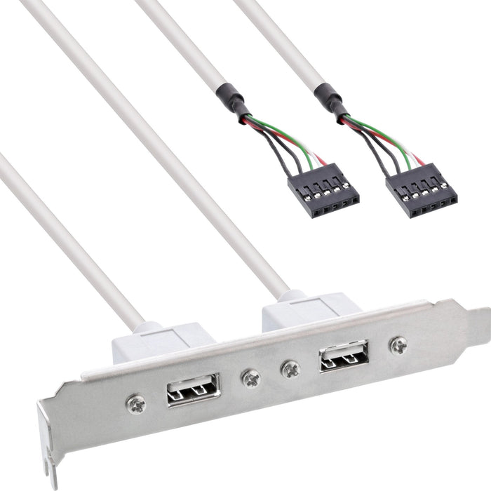 Soporte Inline 2x Usb 2.0 Tipo A Hembra A 2x Conector Interno De 5 Pines 0,3 M