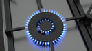 EAN 4242004203520 - Neff T27DS79N0 hobs Acero inoxidable Integrado 75 cm Encimera de gas 5 zona(s) imagen 2