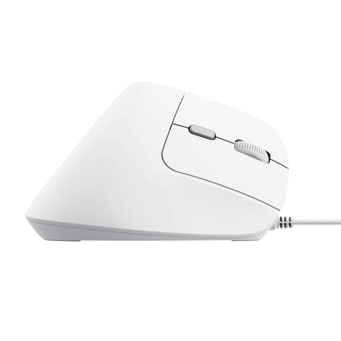 EAN 8713439253979 - Trust Bayo II ratón Oficina mano derecha USB tipo A Óptico 2400 DPI imagen 6