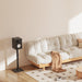 EAN 8435739904268 - AISENS SPK11U-433 soporte de altavoz Piso Acero, Vidrio imagen 4