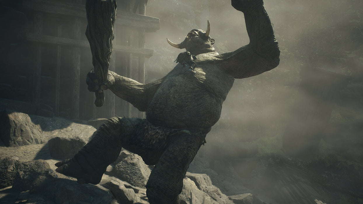 EAN 5055060954096 - Capcom Dragon's Dogma 2 Estándar Inglés PlayStation 5 imagen 41