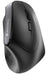 EAN 4025112088315 - CHERRY MW 4500 ratón Oficina mano derecha RF inalámbrico Óptico 1200 DPI imagen 1