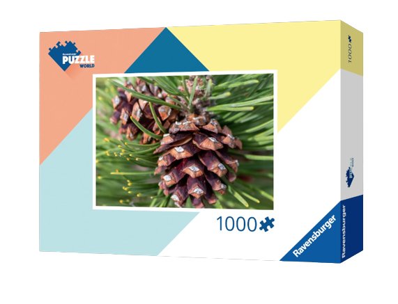 EAN 4005556224371 - Ravensburger 22437 puzzle Puzzle rompecabezas 1000 pieza(s) Flora y fauna imagen 1