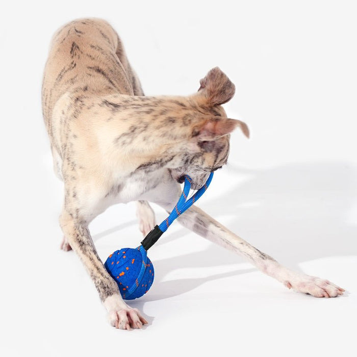 Cheerble Wicked Ball Air Rope-Royal Blue