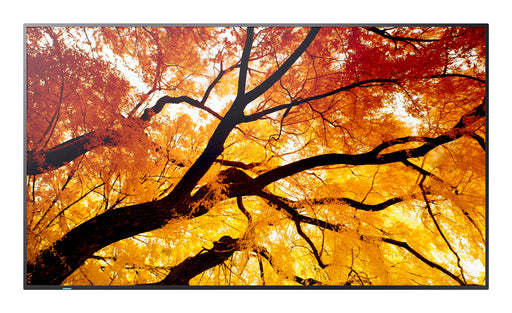EAN 4550556176644 - Sharp MultiSync PN-M752 189,2 cm (74.5") LED 550 cd / m² 4K Ultra HD Negro 24/7 imagen 1