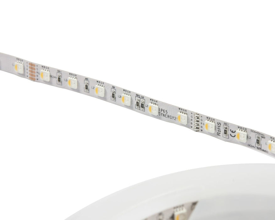 Synergy 21 Led Flex Mrip 5050 - 60 Rgb Dc24v + Rgb-W One Chip Nw Ip68