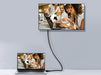 EAN 4015867228203 - Equip 119262 cable DisplayPort 2 m Aluminio, Negro imagen 6