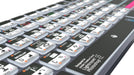 EAN 5707795023287 - Logickeyboard LKB-PSLR-TPC teclado Hogar / Oficina USB + Bluetooth QWERTY Francés Negro imagen 5