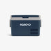 EAN 6975399590491 - Igloo ICF 32 nevera portátil 32,2 L Eléctrico Azul, Gris imagen 1