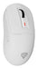 EAN 5901969444858 - GENESIS NMG-2194 ratón Juego Ambidextro Bluetooth + USB Type-C Óptico 26000 DPI imagen 8