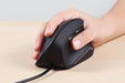 EAN 4049571651507 - Perixx PERIMICE-515 II ratón Oficina Mano derecha USB tipo A Óptico 1600 DPI imagen 5