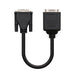 EAN 8433281004962 - Nanocable 10.15.1950 adaptador de cable de vídeo 0,2 m DVI 2 x VGA (D-Sub) Negro imagen 1